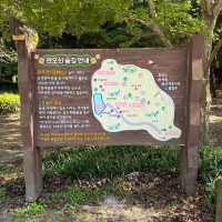 인천에 이런 숲과 공원이라니, 대박이잖아
