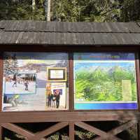 斯洛伐克 上塔特拉山 斯特爾布什克湖Strbske Pleso 