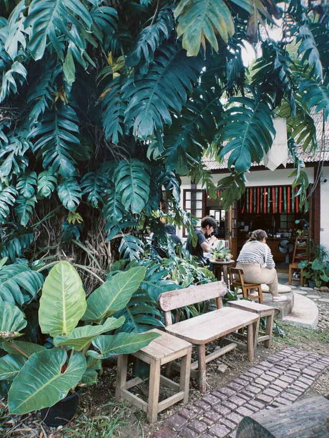 จิบกาแฟคลายหนาวให้สุขพอดี