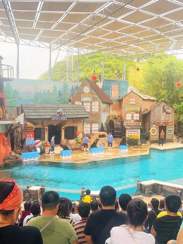 ⭐️亞洲最大動物園～Safari World