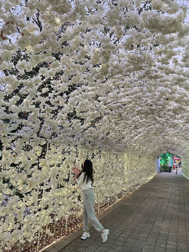 밤에 더 이쁜 안산 별빛마을포토랜드 ✨