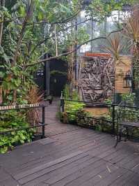 Bangkok Tree House