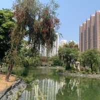 天水圍公園綠化探點