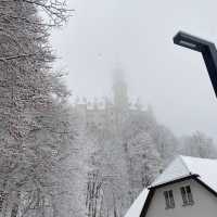 雪のノイシュバンシュタイン城❄️