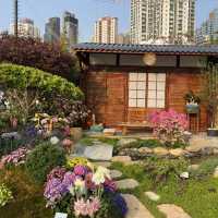 花卉展—18區花卉園景爭艶