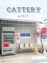 CATTERY Cafe 