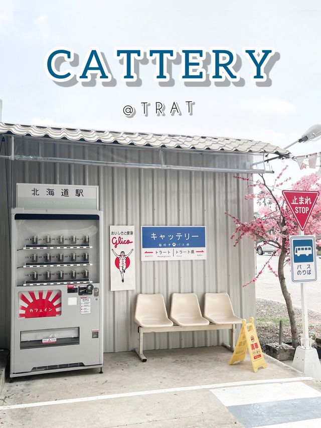 CATTERY Cafe 