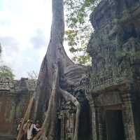 UNESCO Heritage Sites In Siem Reap