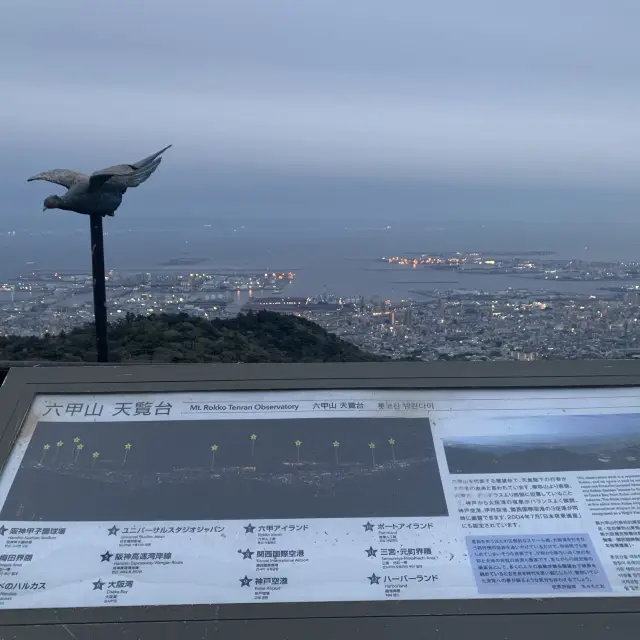 六甲山的日與夜