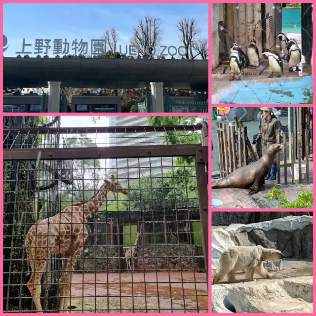 東京人氣動物園