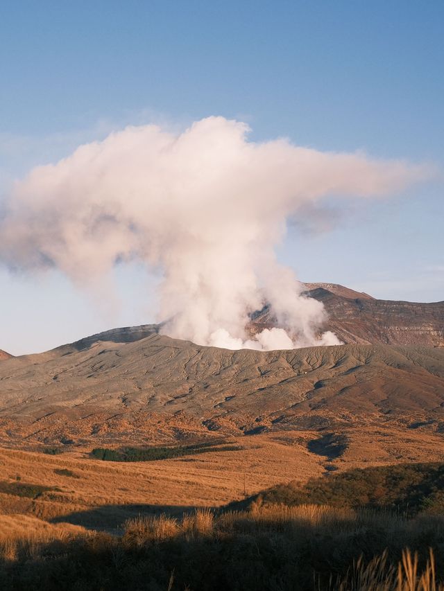 日本九州 | 草千里 廣闊大草原🐎 看阿蘇火山🌋
