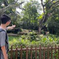 全球十大最佳動物園：新加坡動物園🦁