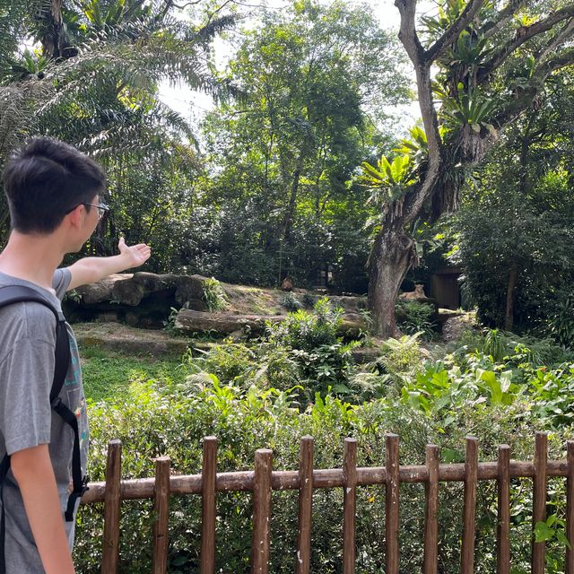全球十大最佳動物園：新加坡動物園🦁