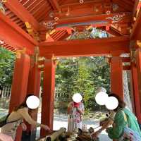 【 神奈川 / 鎌倉 】鎌倉文化の起点！鶴岡八幡宮⛩️