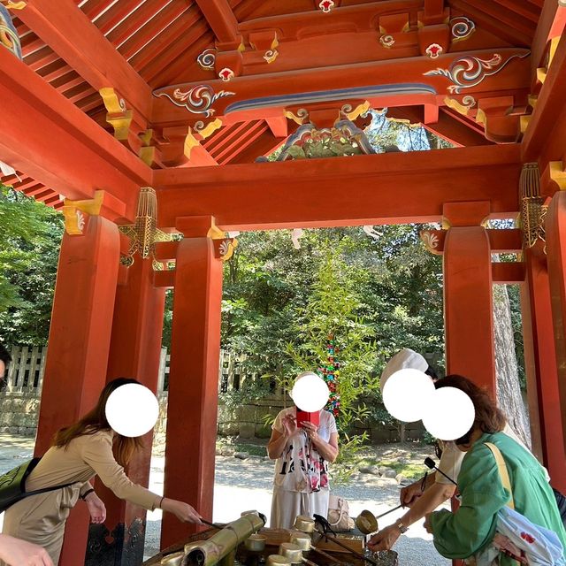 【 神奈川 / 鎌倉 】鎌倉文化の起点！鶴岡八幡宮⛩️
