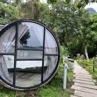 Enjoy the nature from room's wall