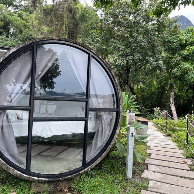 Enjoy the nature from room's wall