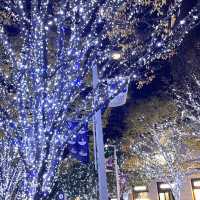 東京　六本木　イルミネーション