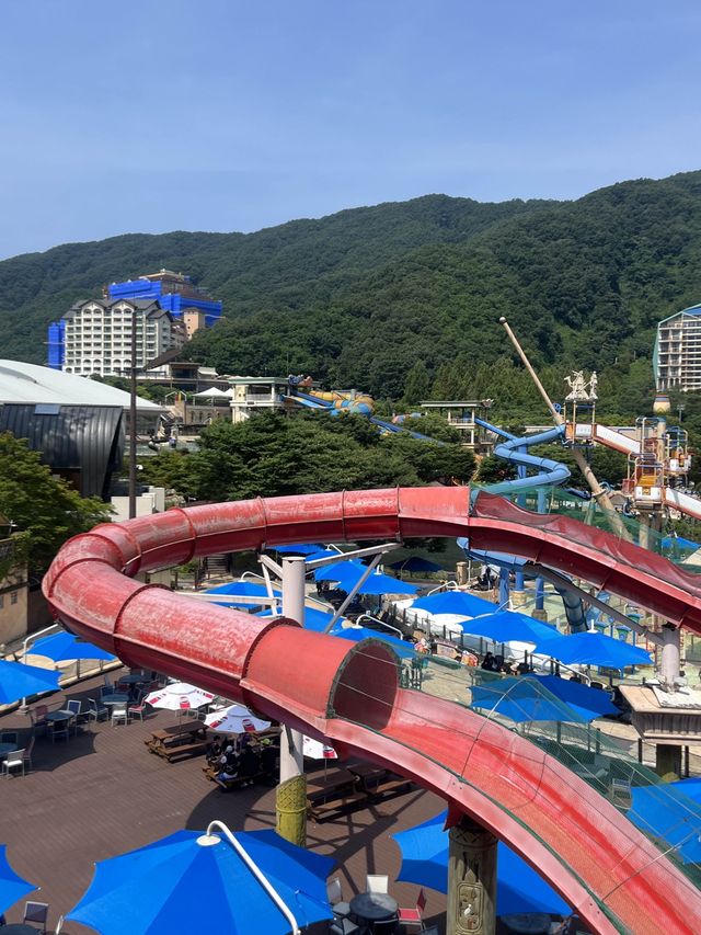 여름하면 생각나는 홍천 비발디파크 오션월드🌊에서 물놀이 하기