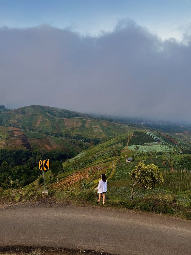 New Attractions In 🇮🇩 (Hunting Sunrise) 👀