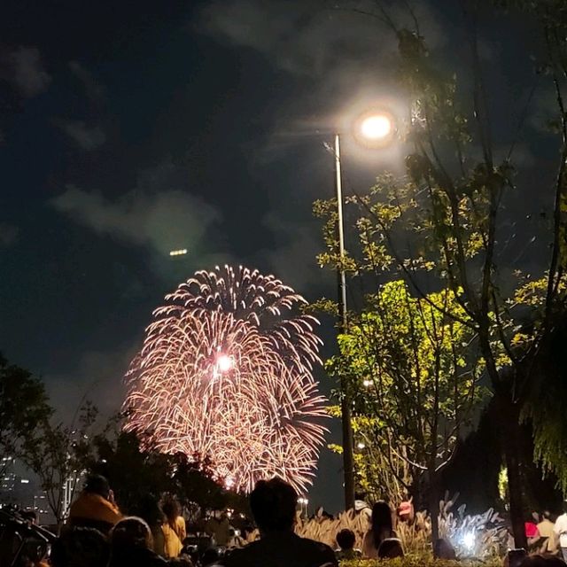 Seoul Fireworks Summer Festival at Hangang Park