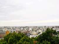 장화 시내를 인자하게 바라보는 팔괘산대불 八卦山大佛
