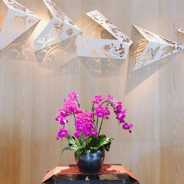 台北｜💧💦頂樓🈚️邊際泳池📍士林萬麗酒店 Renaissance Taipei Shihlin Hotel