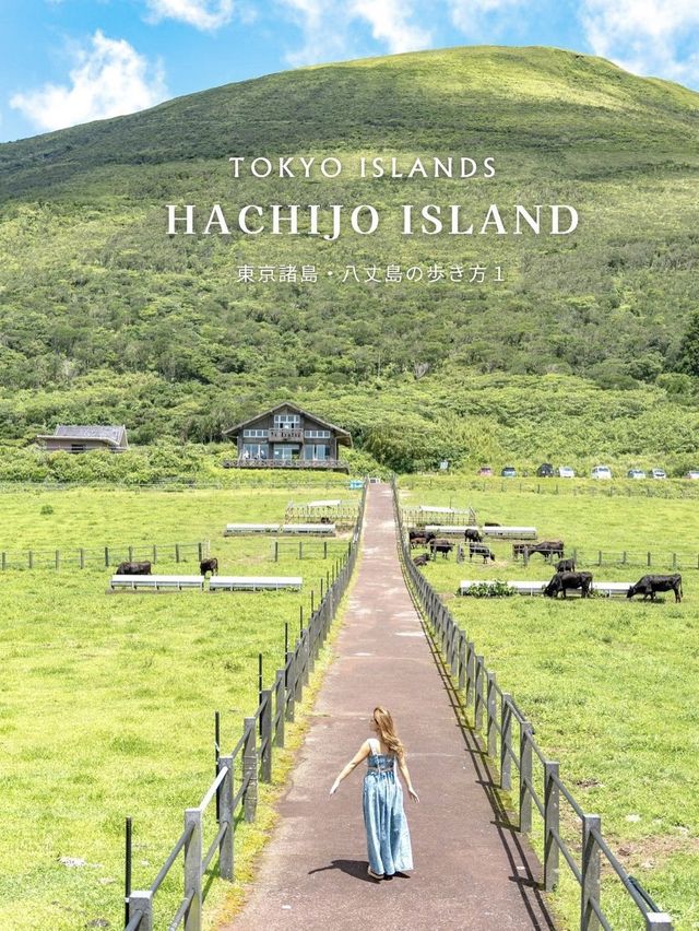 八丈島観光