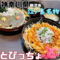 【神奈川県/藤沢市・江の島】とびっちょ