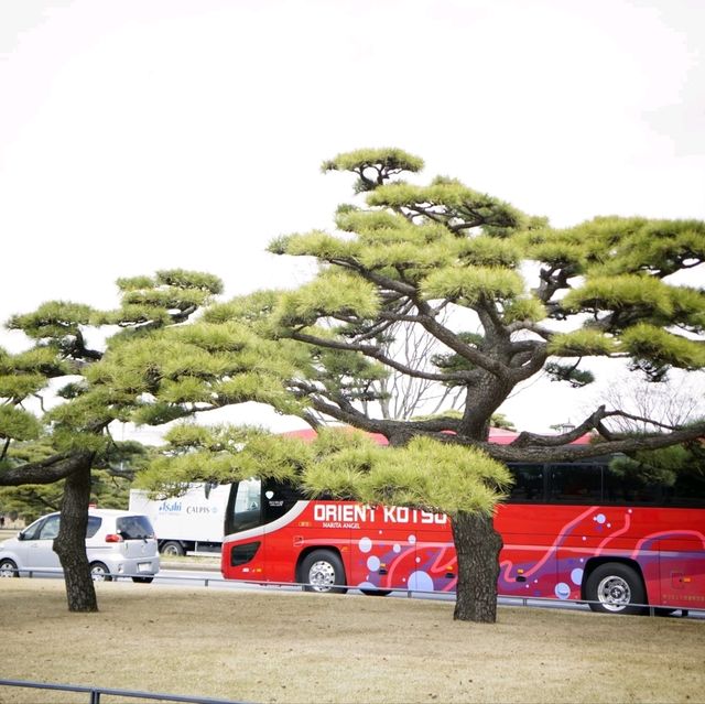 Tokyo Imperial Palace