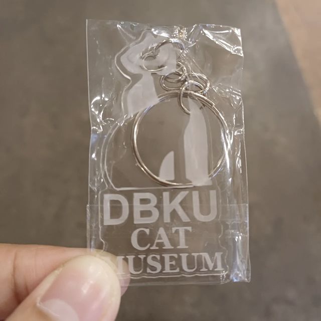  古晉貓博物館，貓奴的夢幻天堂！😺🏛️🐾