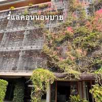 แลคอน นอนบาย เกินราคา