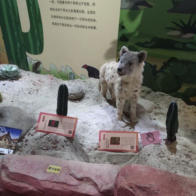  科技探索！🔬🏛️ 東莞科學館 