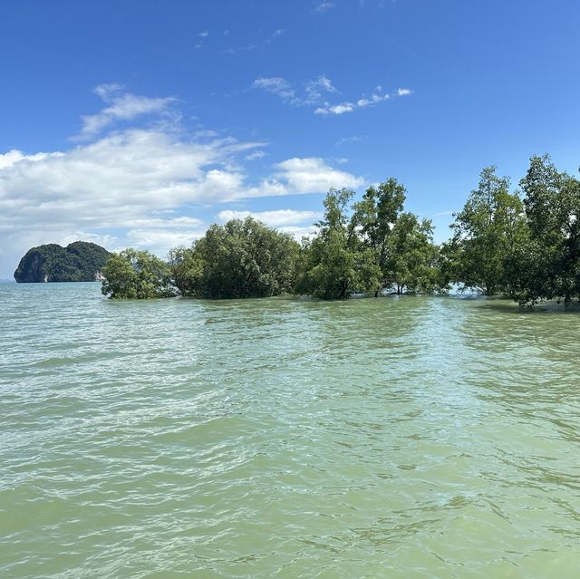 สะพานไม้ไผ่ อ่าวท่าเลน ความสวยสงบ