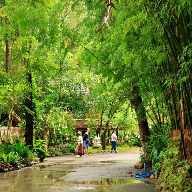 วัดผาลาด วัดสวยกลางป่า จ.เชียงใหม่