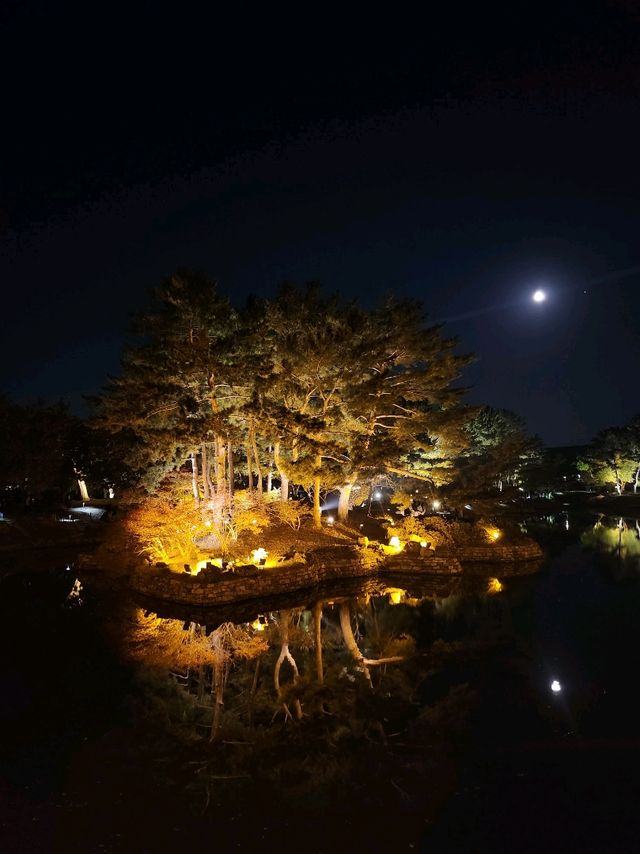 경주 야경 맛집 동궁과 월지(안압지)🌕
