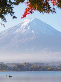 【山梨】紅葉×富士山　一度は見てみたい秋の美しい景色