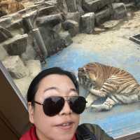 Huge zoo in Seoul