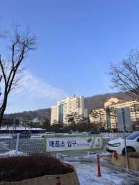 홍천 비발디파크에서 스키 즐기기!⛷️