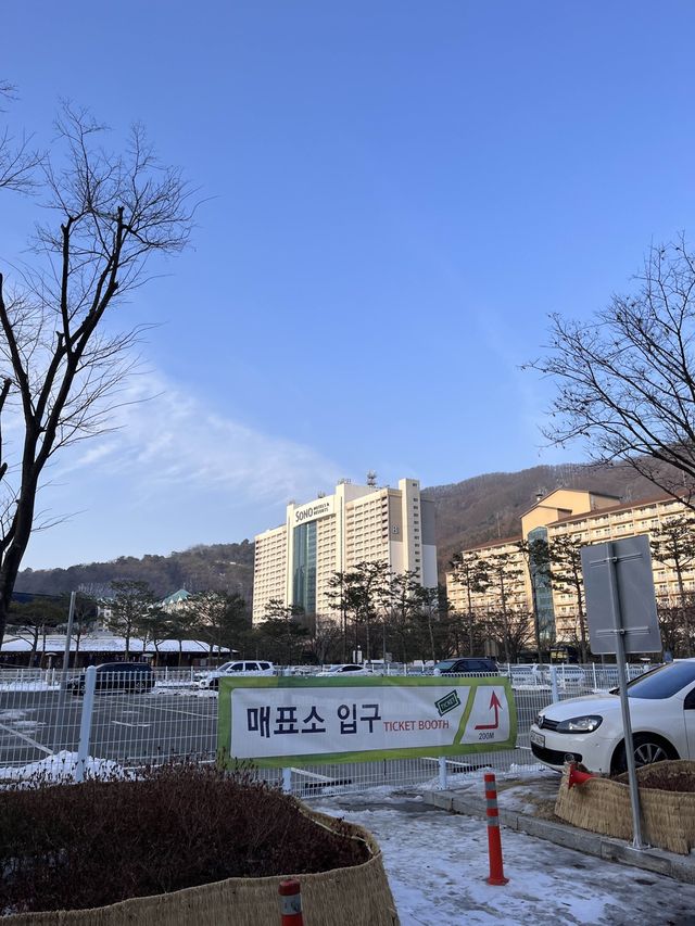 홍천 비발디파크에서 스키 즐기기!⛷️