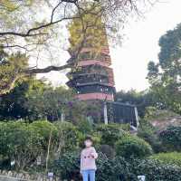 繡球花打卡遊 📍元朗