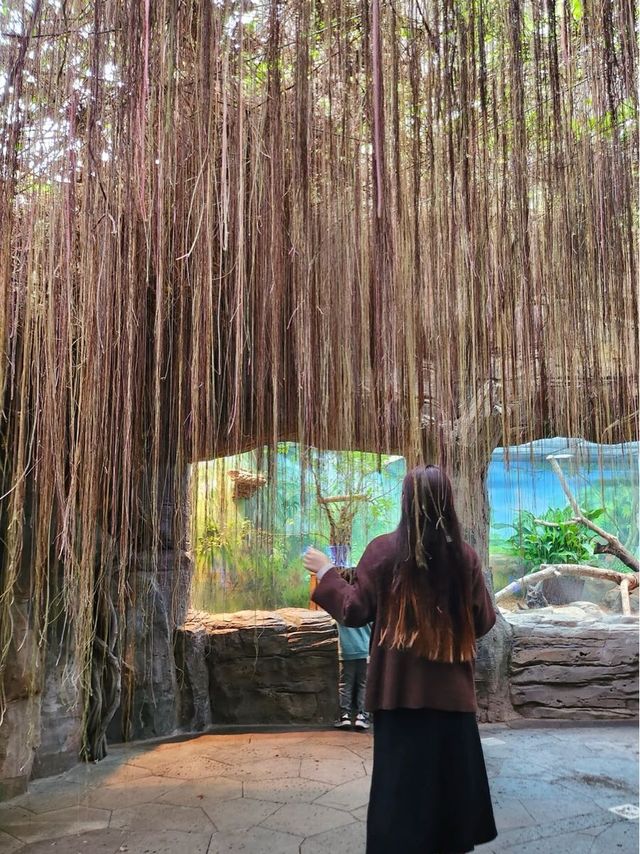 충남 서천 국립생태원🌱