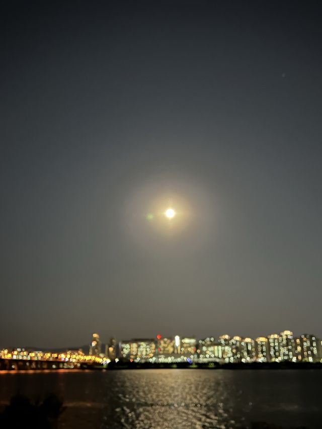 사람 없는 한적한 광나루 한강공원 💚