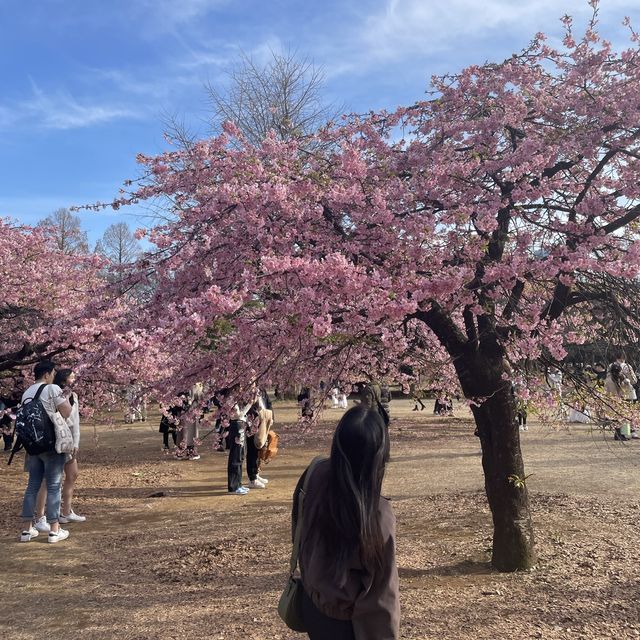 [일본 도쿄 여행] 여기 저기 단기말고 장기로 “도쿄”에 있으세요🥹