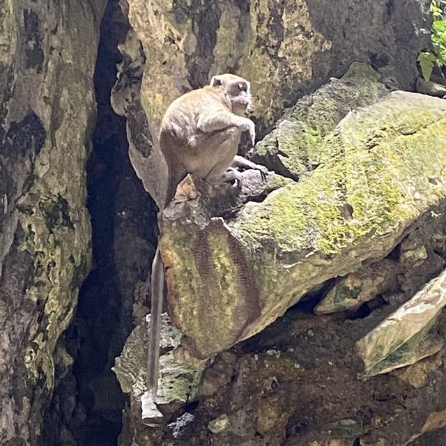 Discovering the Magic of Batu Cave!