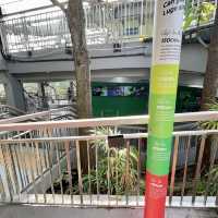 新加坡天際線斜坡滑車-有速度感、小刺激、又好玩