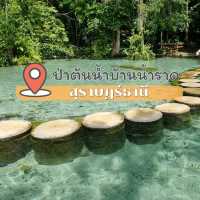 ป่าต้นน้ำบ้านน้ำราด 🌿