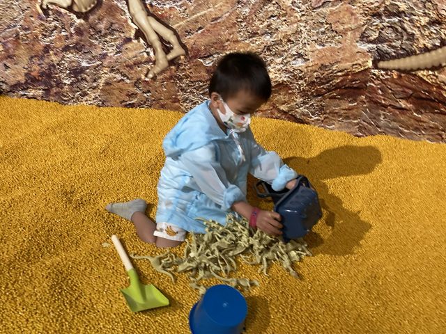 《🦖與恐龍的約會 ～ 🦕侏羅紀恐龍探險樂園🔎》