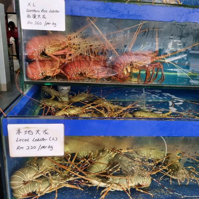 Super Lobster in Desaru 🦞