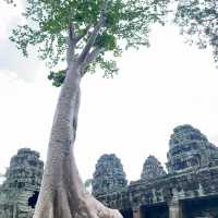 Banteay Kdei